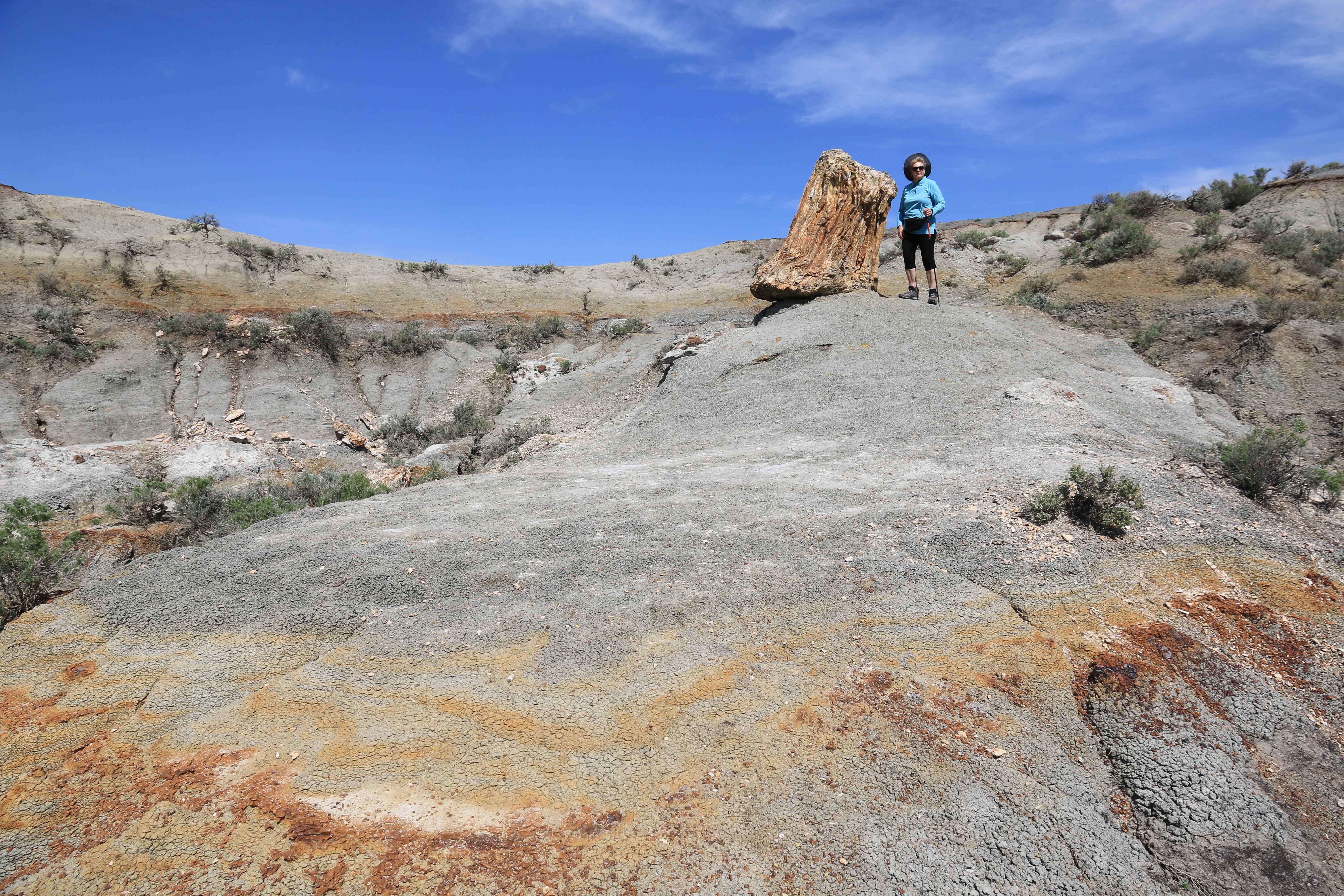 Theodore Roosevelt NP